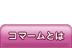 ���܁[�ނƂ́H