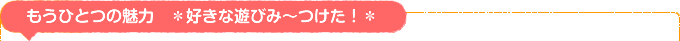 もうひとつの魅力